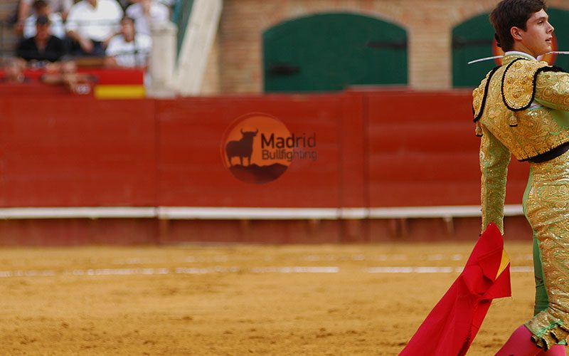 posicionamiento seo toros