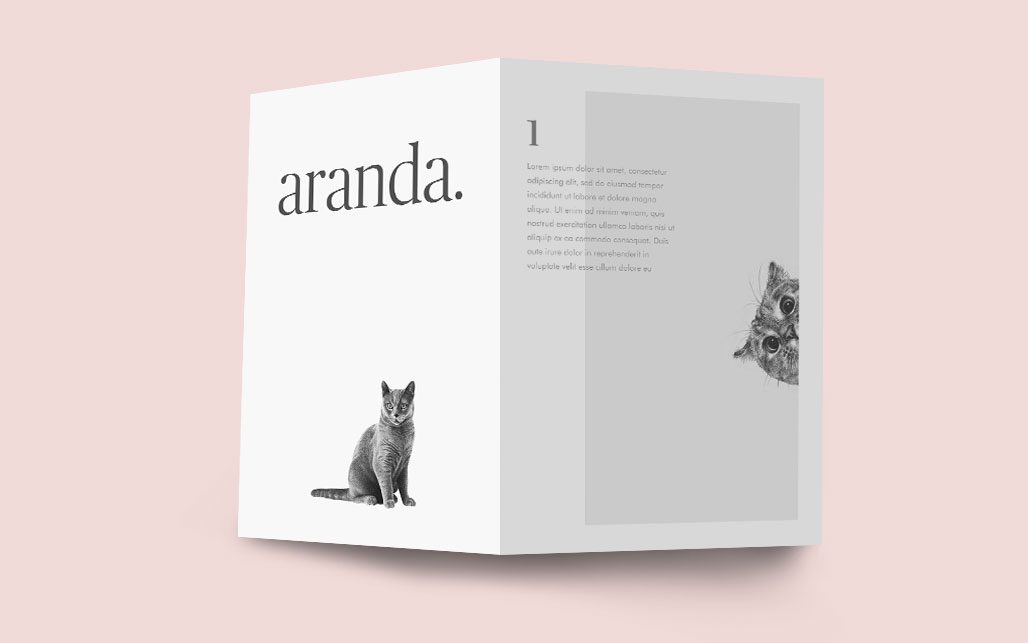 aranda diseno web madrid